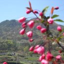 능성농장 이미지