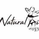 네추럴핏 네이버블로그