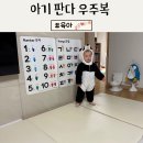 27개월 아기 판다 우주복 구매 후 상세 설명 및 후기