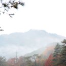 황토와 통나무 캠핑장