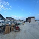 거진활어회센터 이미지