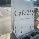 cafe 255 (카페 이오오) | [양양] 카페 이오오, 중형견 동반 후기(애견 동반)