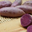 현희농장 이미지