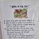 고운미소 | <남해 고운미소펜션> 가성비 좋고 아이들과 가기 좋은 펜션 내돈내산 재방문 후기