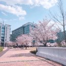 김밥천국(유니스트) 이미지