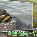 초록메디 이미지