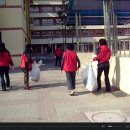 용성초교 이미지