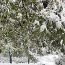 혜자농장 이미지