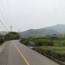 나무부동산공인중개사사무소 이미지