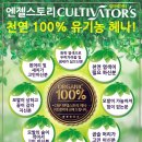헤나유통