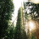 박촌한의원 이미지