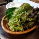 탐진해물탕 | 상무지구 쭈꾸미ㅣ상무지구 해물찜 맛집 탐진해물 후기