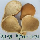 퀴즈? 퀴즈! (3) 이미지