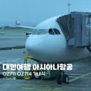 711 | 대만 아니아나 OZ711 / OZ714 항공권가격 및 기내식 후기