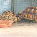 돌보미의료기 이미지