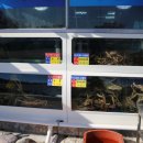 착한대게 이미지