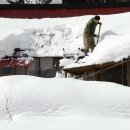 제비1리 이미지