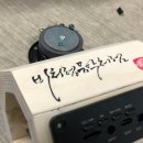 우드 너 이미지