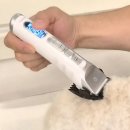 [일원2] 반려견 셀프 미용 | 셀프미용 초보도 가능한 바론 반려동물 바리깡 후기 ✂️