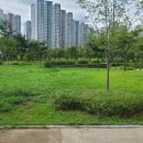 문점공원 이미지