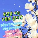 목련꽃 피는 3월의 끝자락에서 이미지