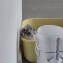 베이시티 동물병원 이미지