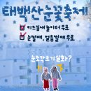 4834 | 2026 태백산 눈꽃축제 아이와 방문 후기 눈썰매 얼음썰매 키즈존 무료