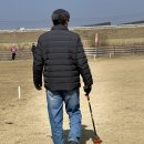 라온아띠 | 국산 파크골프채추천 비교 후 라온아띠파크골프 선택 이유 및 후기