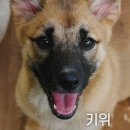 진웅주유소 이미지