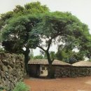 제주 성읍마을 한봉일 고택 이미지