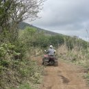 가주목장 이미지