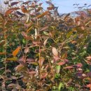 (주)동부수지 이미지