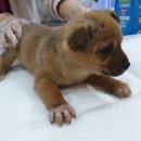 삼남면행정복지센터 이미지