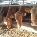 이종섭 농장 이미지