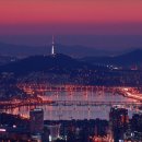 서울 Daum카페