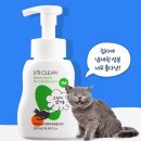 [공지] [체험단 후기] 유어클린 고양이 핸드워시 후기