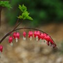 생의 공간 이미지