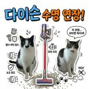 (주)두바퀴소프트 | 고양이집 벤토 모래로부터 다이슨 청소기 모터 지키는 단돈 100원짜리 실전 꿀팁