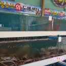 덕성수산식당