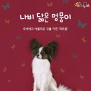 나비펫 이미지