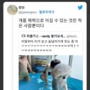 바라바 이미지
