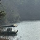 벼락떡볶이 | [춘천 당일치기] 유람선 (못)타고 청평사, 줄서는 떡볶이집 팬더하우스 그리고 육림닭강정까지 🍁