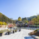 와우정사 이미지