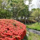 농성광장 이미지