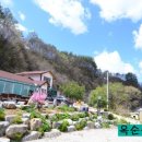 옥순봉민박 이미지