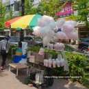 양지마을 테니스장 입구 이미지