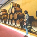 와인터널 이미지