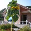 절골민박 이미지