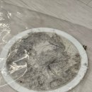 클린보이양주점 | 양주 의정부 패브릭소파 얼룩 습식청소 둥이클린 프리미엄케어