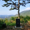 반송순환로 | [2025-05-30-금] 부산 반송 로컬 맛집 후루룩칼국수에서 냉면 혼밥 후기(ft.장산 누리길과 주봉)
